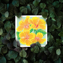 Load image into Gallery viewer, Flor de Papo - Daniel Dittmar