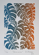 Load image into Gallery viewer, Araceae - Daniel Dittmar