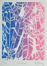 Load image into Gallery viewer, Calathea - Daniel Dittmar