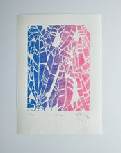 Load image into Gallery viewer, Calathea - Daniel Dittmar