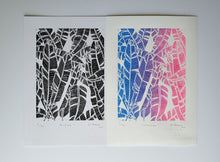 Load image into Gallery viewer, Calathea - Daniel Dittmar