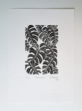 Load image into Gallery viewer, Monstera - Daniel Dittmar