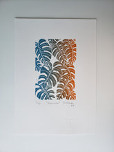 Load image into Gallery viewer, Araceae - Daniel Dittmar