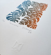 Load image into Gallery viewer, Araceae - Daniel Dittmar