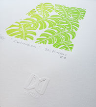 Load image into Gallery viewer, Deliciosa - Daniel Dittmar