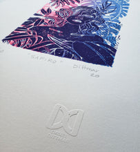 Load image into Gallery viewer, Safiro 2 - Daniel Dittmar