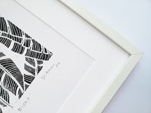 Load image into Gallery viewer, Bijao - Daniel Dittmar