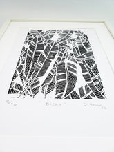 Load image into Gallery viewer, Bijao - Daniel Dittmar