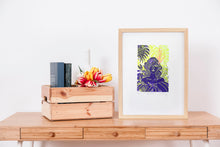 Load image into Gallery viewer, Safiro 2 - Daniel Dittmar