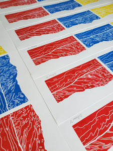 Ávila Tricolor - Daniel Dittmar