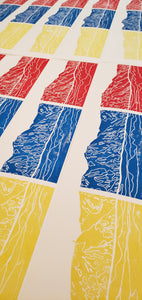 Ávila Tricolor - Daniel Dittmar
