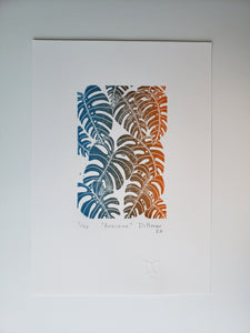 Araceae - Daniel Dittmar